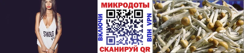 Псилоцибиновые грибы Cubensis  kraken онион  Никольское 