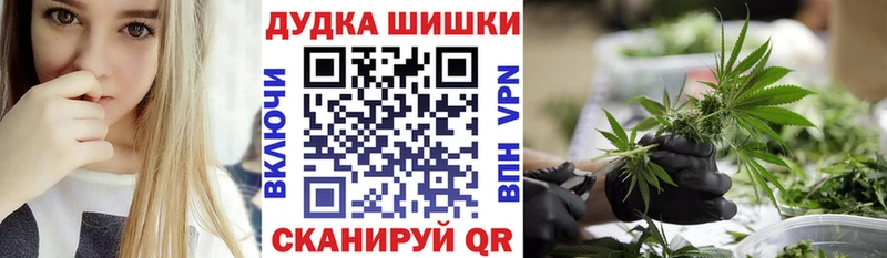 Шишки марихуана семена  Никольское 